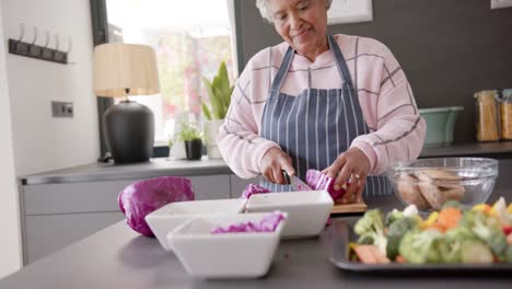 Ältere-Frau-Mit-Gemischter-Rasse-Kocht-Abendessen-Und-Schneidet-Gemüse-In-Der-Küche,-Unverändert,-In-Zeitlupe
