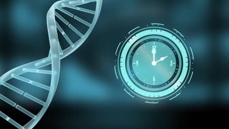 Animation-of-clock-moving-over-dna-strand-on-gray-background