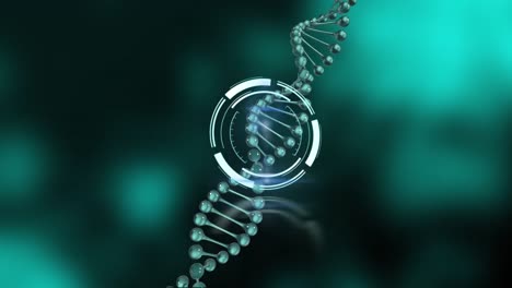 Animation-of-scope-scanning-over-dna-strand-on-gray-and-black-background