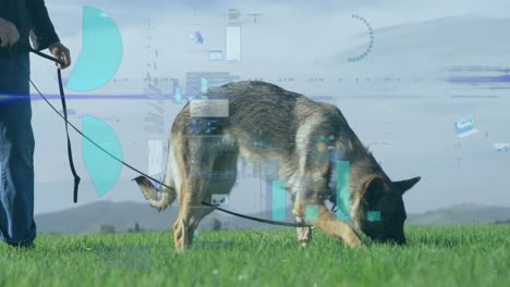 Animation-of-financial-data-processing-over-caucasian-man-with-dog-in-grass