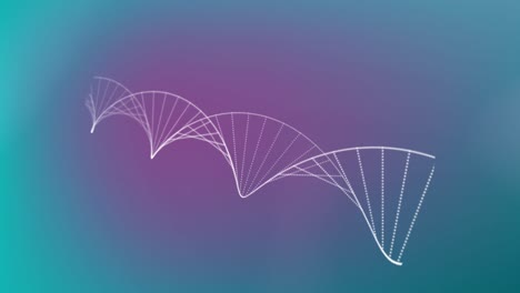 Animation-Eines-DNA-Strangs,-Der-Sich-Auf-Rosa-Bis-Blauem-Hintergrund-Dreht