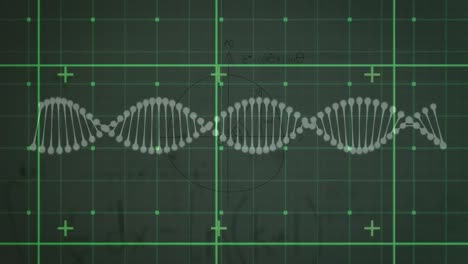 Animation-Des-Spinnens-Von-DNA-Strängen-Und-Der-Datenverarbeitung-über-Einem-Gitter