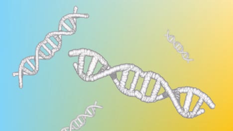 Animation-of-dna-strands-spinning-over-yellow-to-blue-background