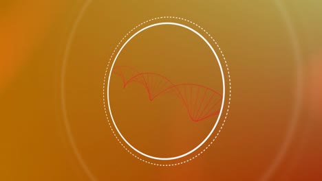 Animation-of-dna-strand-spinning-and-data-processing-on-orange-background