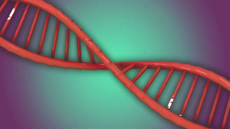 Animation-Der-Makroorangefarbenen-DNA-Strangspinnen-Und-Datenverarbeitung-Auf-Grünem-Bis-Violettem-Hintergrund