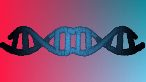 Animation-of-dna-strand-spinning-on-pink-to-blue-background