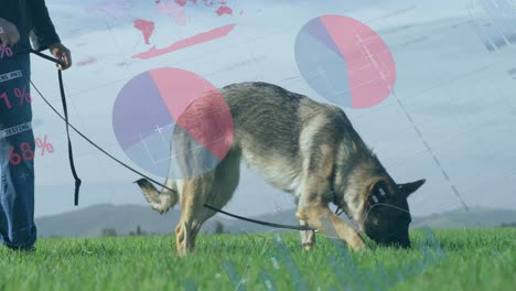 Animation-of-infographic-interface-over-midsection-caucasian-woman-walking-with-dog-in-field
