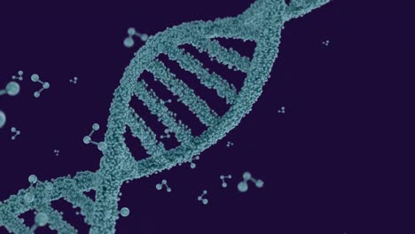 Animation-Von-DNA-Und-Molekularen-Strukturen,-Die-Sich-Vor-Blauem-Hintergrund-Drehen