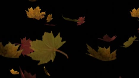 Animation-of-falling-leaves-with-copy-space-on-black-background
