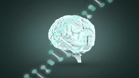 Animation-Des-Digitalen-Gehirns-Und-Des-DNA-Strangs-Auf-Grauem-Hintergrund