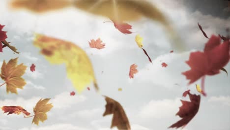 Animation-Von-Blättern,-Die-über-Wolken-Und-Blauen-Himmel-Fallen