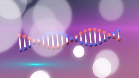 Animation-of-dna-strand-spinning-over-spotlights-on-purple-background