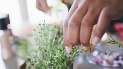 Hands-of-african-american-woman-in-apron-preparing-food-in-kitchen-cutting-fresh-herbs,-slow-motion