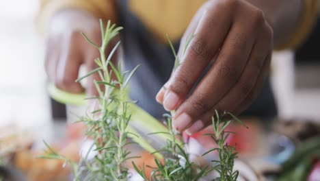 Hands-of-african-american-woman-in-apron-preparing-food-in-kitchen-cutting-fresh-herbs,-slow-motion