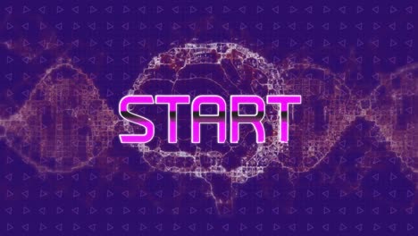 Animation-of-start-text-over-human-brain-and-dna-strand-on-purple-background