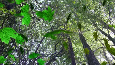 Animation-Von-Grünen-Blättern,-Die-über-Bäume-Im-Wald-Fallen