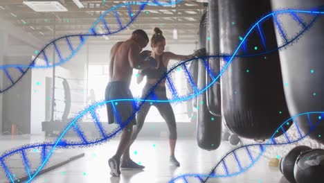 Animation-of-dna-strand-over-diverse-man-and-woman-exercisng-in-boxing-gym
