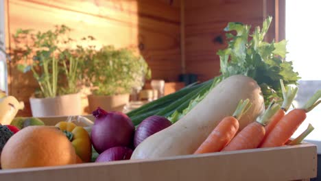 Crate-of-organic-vegetables-on-countertop-in-sunny-kitchen,-slow-motion