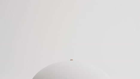 White-rugby-ball-on-white-background-with-copy-space,-slow-motion