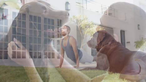 Montage-of-happy-biracial-man-practicing-yoga-and-relaxing-at-home-and-garden,-slow-motion