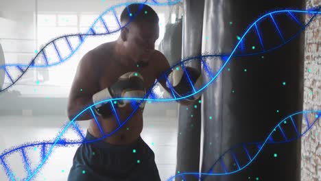 Animation-of-dna-strands-over-african-american-man-exercising-in-boxing-gym