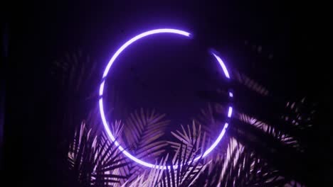 Animation-of-data-processing-and-glowing-purple-neon-circle-on-black-background