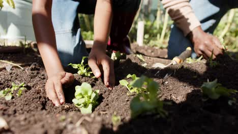 Manos-De-Un-Niño-Afroamericano-Plantando-Verduras-En-Un-Jardín-Soleado,-Cámara-Lenta