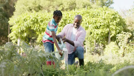 Happy-senior-african-american-grandfather-and-grandson-watering-plants-in-sunny-garden,-slow-motion