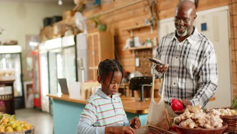 Happy-senior-african-american-grandfather-and-grandson-shopping-at-health-food-shop,-slow-motion