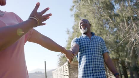 Glückliches-älteres-Afroamerikanisches-Paar,-Das-Händchen-Hält-Und-In-Sonniger-Natur-Spaziert,-Zeitlupe