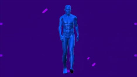 Animación-De-Círculos-Morados-Sobre-Un-Modelo-Humano-Azul-Caminando