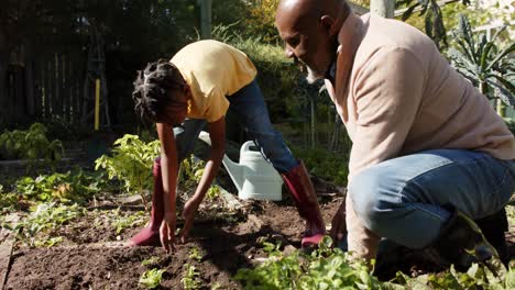 Älterer-Afroamerikanischer-Großvater-Und-Enkel-Pflanzen-Gemüse-Im-Sonnigen-Garten,-Zeitlupe