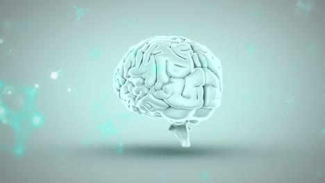 Animation-Des-Menschlichen-Gehirns-Und-Der-Partikel-Auf-Grünem-Hintergrund
