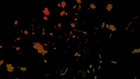 Animation-of-autumn-leaves-falling-on-black-background