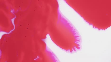 Video-of-close-up-of-red-and-white-ink-in-water-with-copy-space
