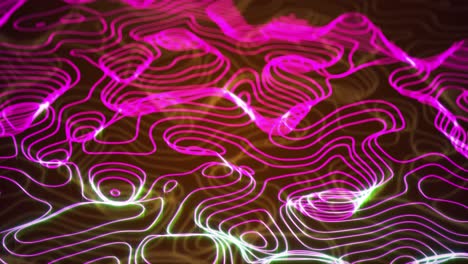 Animation-of-pink-contour-lines-moving-over-white-contour-lines