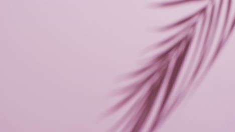 Animation-of-shadow-of-palm-tree-leaf-moving-with-copy-space-over-pink-background