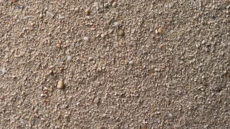 Video-of-close-up-of-sand-grains-and-copy-space-background