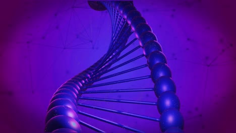 Animation-Des-Netzwerks-Von-Verbindungen-Und-Der-DNA-Struktur,-Die-Vor-Violettem-Hintergrund-Mit-Farbverlauf-Schwebt