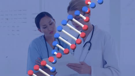 Animation-of-dna-structure-over-two-diverse-female-doctors-discussing-over-a-report-at-hospital