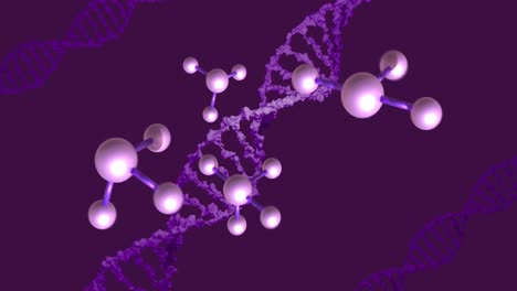 Animation-of-molecules-and-dna-strands-on-purple-background
