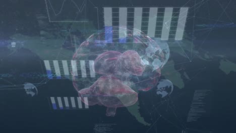 Animation-Von-Diagrammen,-Globus-Und-Verbundenen-Punkten-über-Dem-Menschlichen-Gehirn-Im-Vergleich-Zur-Computersprache