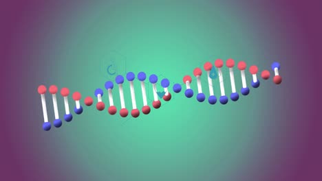 Animation-Von-Symbolen,-DNA-Strang-über-Datenverarbeitung