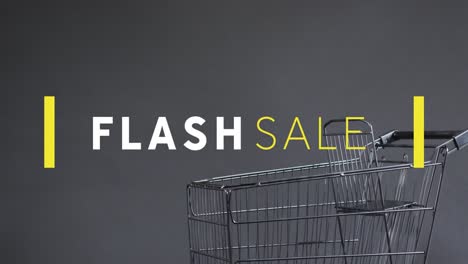 Animation-of-flash-sale-text-over-shopping-trolley