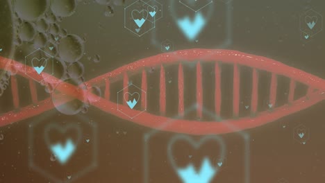 Animation-Von-Symbolen,-DNA-Strang-über-Datenverarbeitung