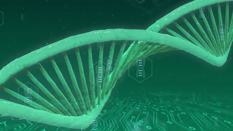Animation-Des-DNA-Strangs,-Netzwerk-Medizinischer-Symbole-Und-Datenverarbeitung