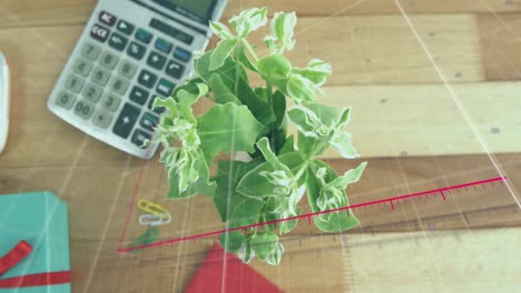 Animation-of-arrow-on-graph,-overhead-view-of-plant,-calculator,-gift-boxes-and-keyboard-on-table