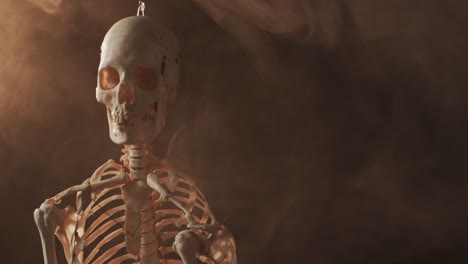 Video-of-close-up-of-halloween-skull-and-skeleton-and-copy-space-on-brown-background