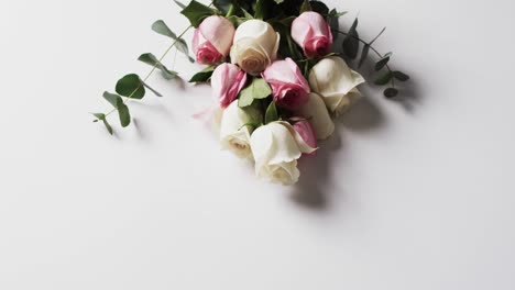 Video-of-bunch-of-white-and-pink-roses-and-copy-space-on-white-background