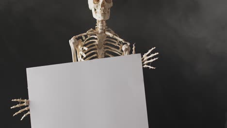 Video-of-close-up-of-halloween-skeleton-holding-white-board-with-copy-space-on-black-background